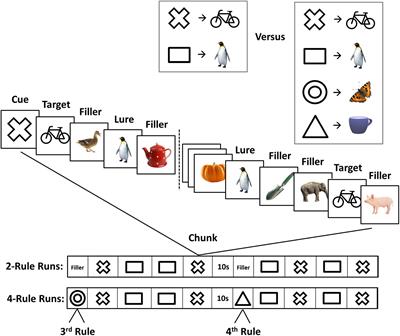 Spatio-Temporal Brain Dynamic Differences in Fluid Intelligence